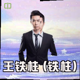 王铁柱 (铁柱)